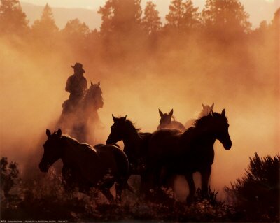 cheval far west