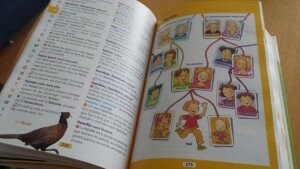 larousse des debutants